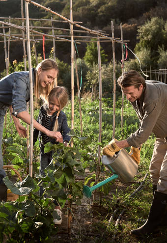 Eagles Resort Chalkidiki family in an organic farm